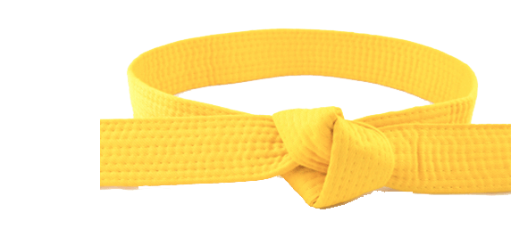 lean yellow belt, yellow belt, yellow belt certificaat, yellow belt cursus